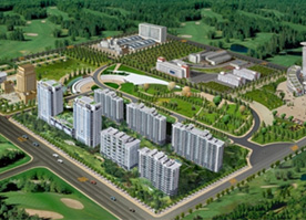 公司张保兰荣获云南省就业创业先进个人